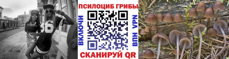 Галлюциногенные грибы MAGIC MUSHROOMS Кедровый